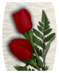 DAREC-058 2 Roses Red